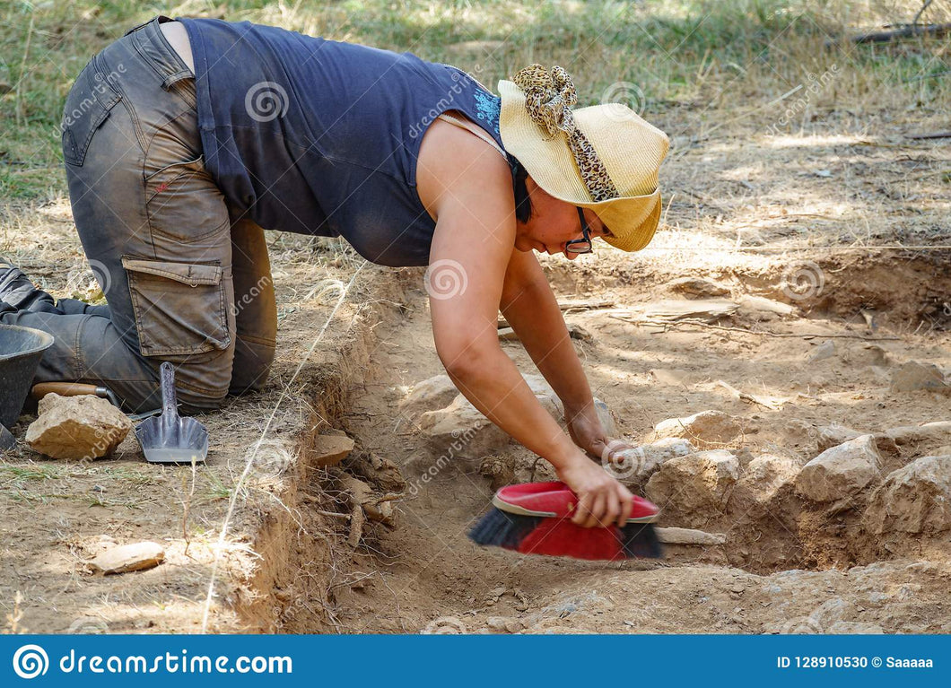 Archaeology Broom