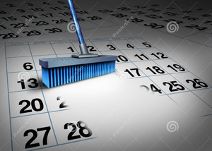 12-Month Broom SYNC TEST